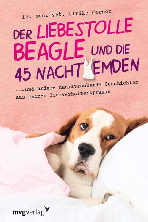 liebestollBeagle